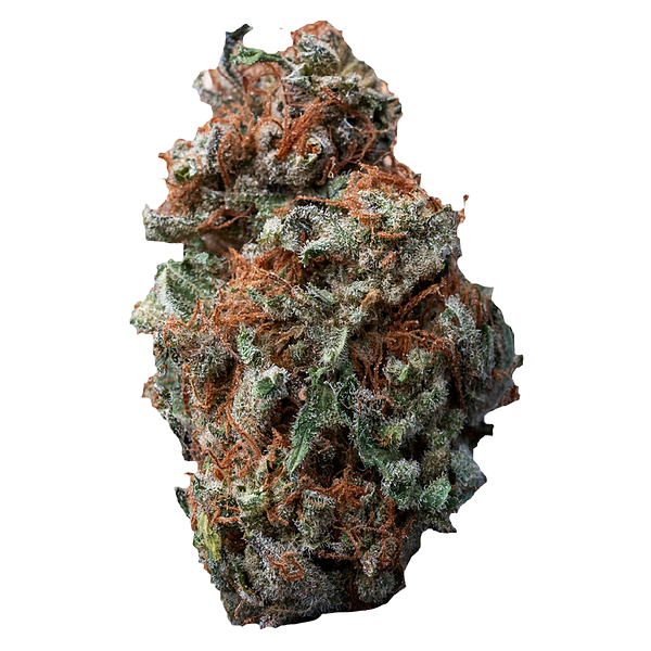 Palmetto - Sasquatch Sap