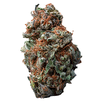 Palmetto - Sasquatch Sap