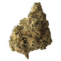The Loud Plug - Headband