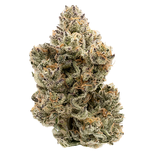 Northern Canna - The Collective Half Q
