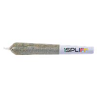 1Spliff - The Titan Variety Pack Pre Roll