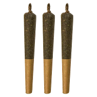 Sheeesh! - Papa Infused Pre Roll