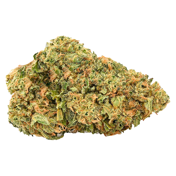 5 Points Cannabis - Gorilla Ghost