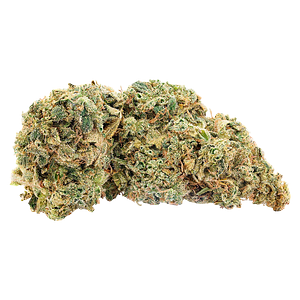 Big Bag O' Buds - Northern Nights