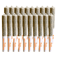 Stoned - Orangutan TT's Pre Roll
