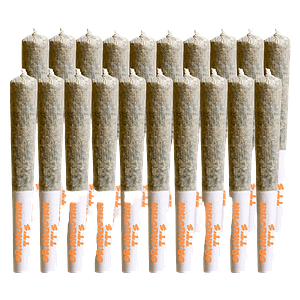 Stoned - Orangutan TT's Pre Roll