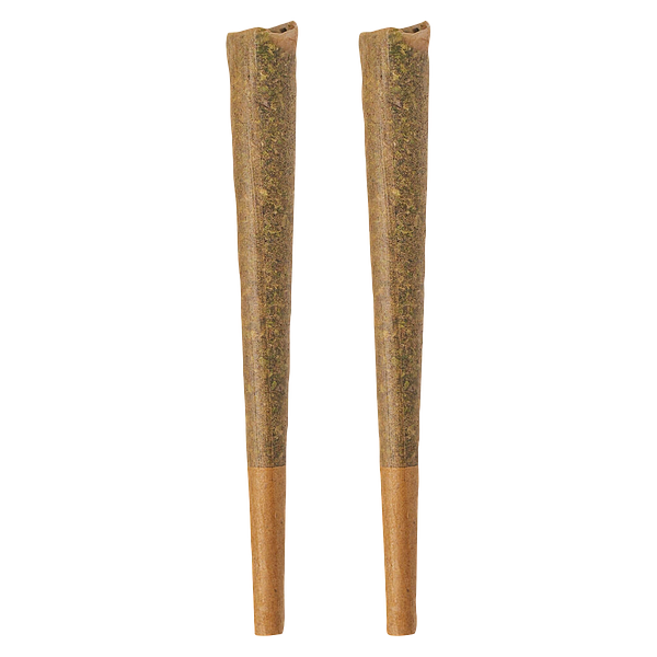 BOLD GLAZED - Sativa Pre-Roll