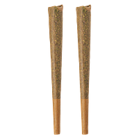 BOLD GLAZED - Sativa Pre-Roll