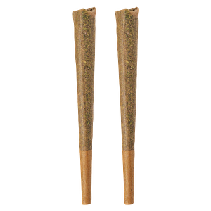 BOLD GLAZED - Sativa Pre-Roll