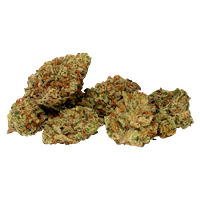 Good Buds - Gluerangutan