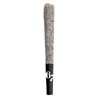 Sixty Seven Sins - 67 Sindicate Infused Pre Roll