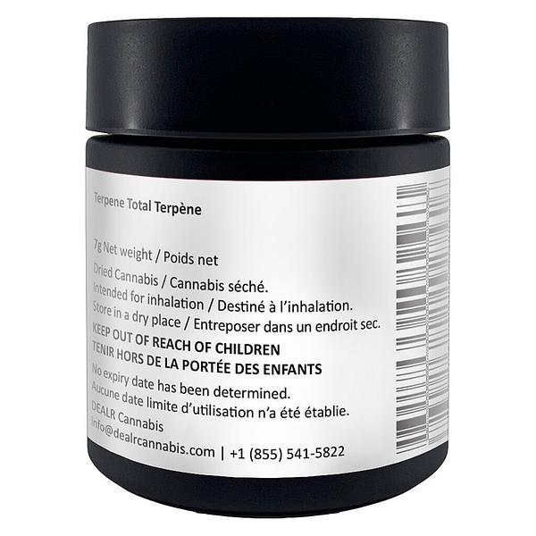 DEALR - Rainbow Fuego image 3