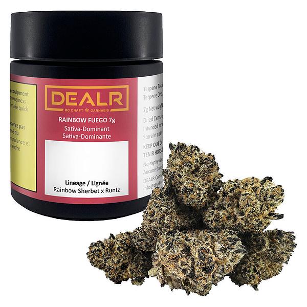 DEALR - Rainbow Fuego image 4