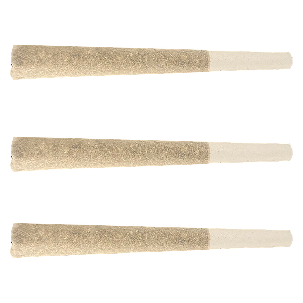 North of 28 - Apes In Space Pre Roll