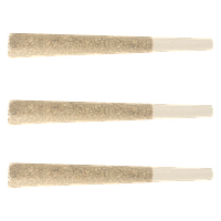 North of 28 - Apes In Space Pre Roll