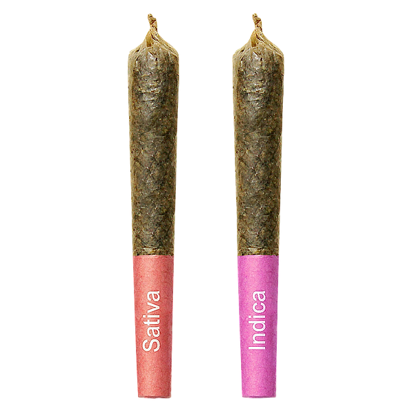 High Priestess - Gemini Sun And Moon Duo Pack Shatter Infused Pre Roll