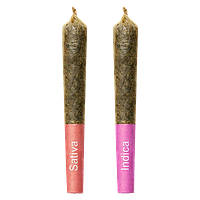 High Priestess - Gemini Sun And Moon Duo Pack Shatter Infused Pre Roll