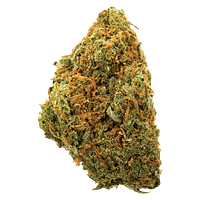 Potluck - Moose Tracks