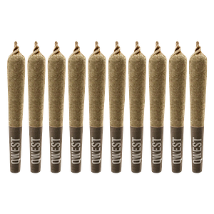 Qwest 35's - Platinum Gas Pre Roll