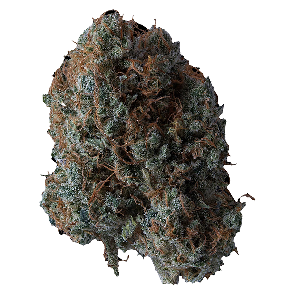 Supernova Farms - B!tch Slap
