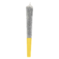 Potluck - Juicy Jungle Fruit Infused Pre Roll