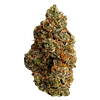 Flhigh - Johnny Cage thumbnail 1