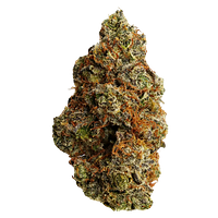 Flhigh - Johnny Cage