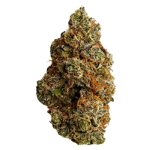 Flhigh - Johnny Cage
