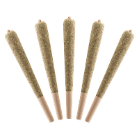 Standard Issue - Watermelon Infused Pre Roll