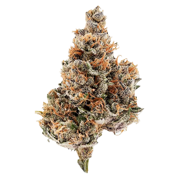 Potluck - Raspberry Runtz