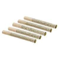 Victoria Cannabis Company - Coastal Cuts Pre Roll
