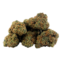 BC 1/4 - Gasserole