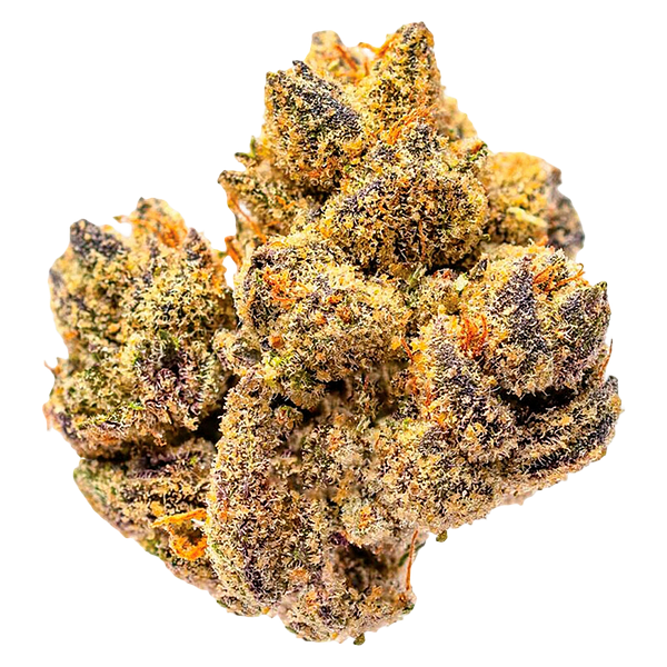 Potluck - Rocky Mountain High