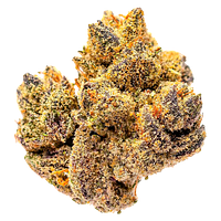 Potluck - Rocky Mountain High