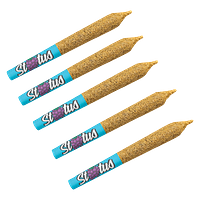 Status - Cha-Ching Cherry Liquid Diamond Infused Kief Coated Pre Roll