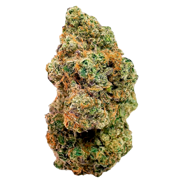 North of 28 - Moonshine Gas