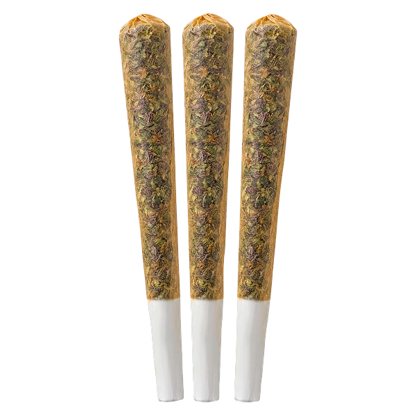 Seeker - Rotating Strain Sativa Pre Roll