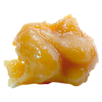 The Goo! - Goo-Drops! Live Rosin Rotational
