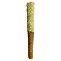 Soar - Honey Drizzle Infused Blunt