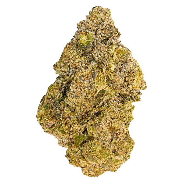 Broken Coast - Cherry Ztripez