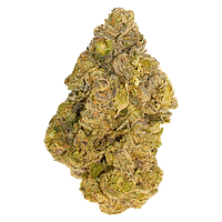 Broken Coast - Cherry Ztripez