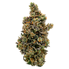 North of 28 - Kush Mintz thumbnail 1