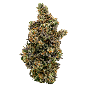 North of 28 - Kush Mintz