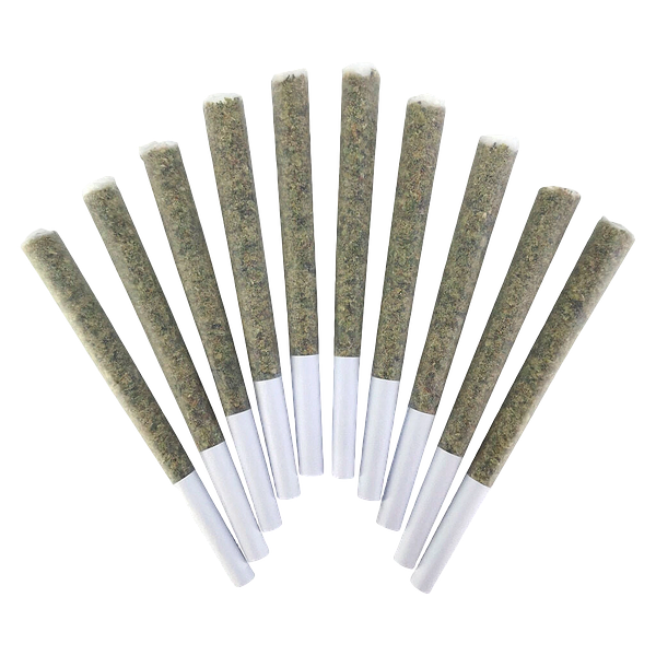 BC Doobies - Velcroz Pre Roll