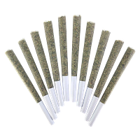 BC Doobies - Velcroz Pre Roll