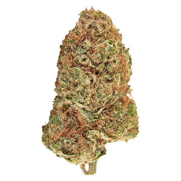Carnaval - Big Bang Sativa Smallz