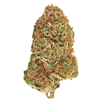Carnaval - Big Bang Sativa Smallz