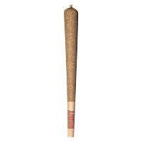 IRONY - Cannon Pre Roll