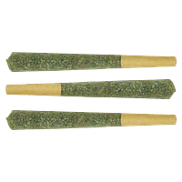 Smokestack - Indica Trifecta Pre Roll