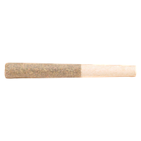 Cheers Cannabis - Pomelo Soda Pre Roll